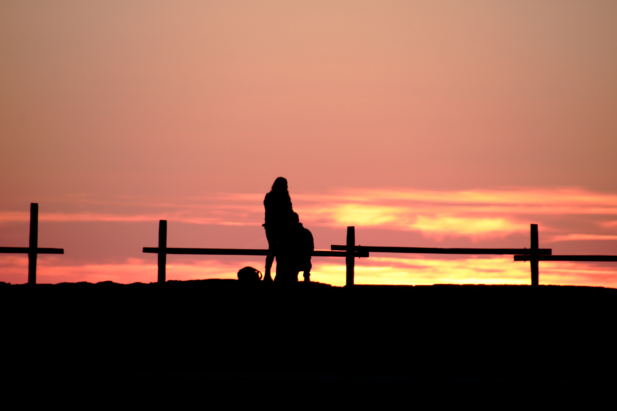 Sigma 18-250mm F3.5-6.3 DC OS HSM sample photo. Will you marry me? photography