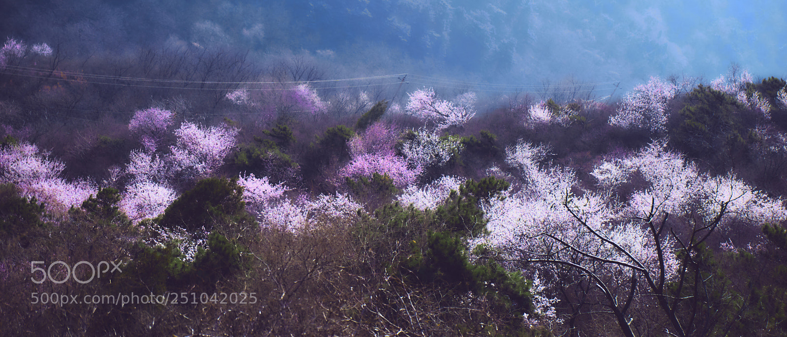 Sony a6000 sample photo. 雾霾 mountain under haze photography