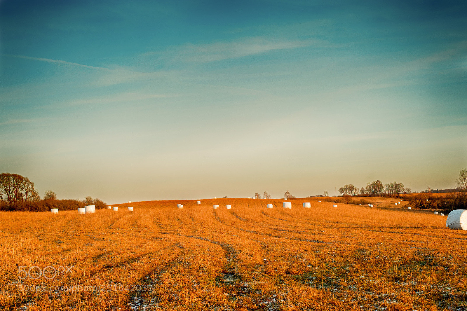Nikon D3 sample photo. Field photography