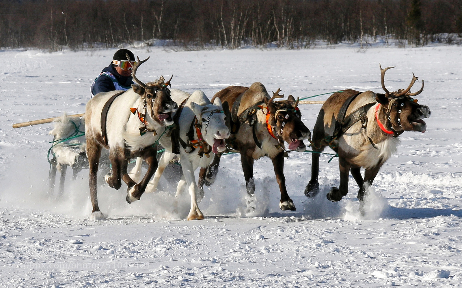 Canon EOS 70D sample photo. Гонки. race. photography