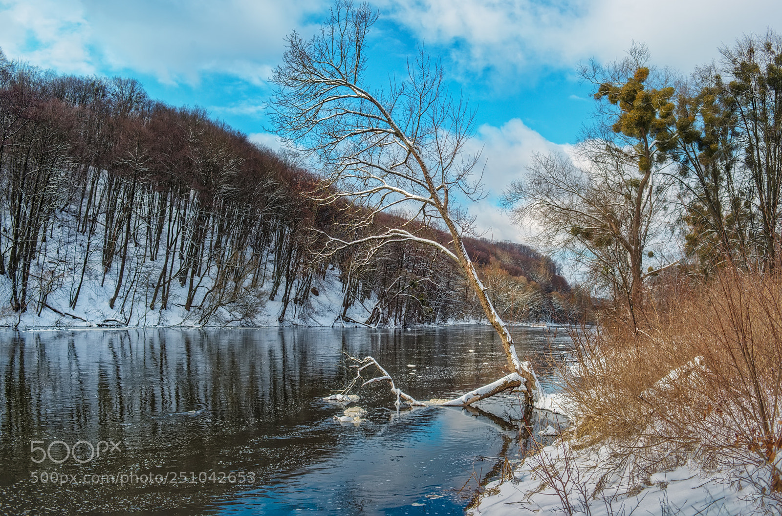 Nikon D800E sample photo. Spring morning photography