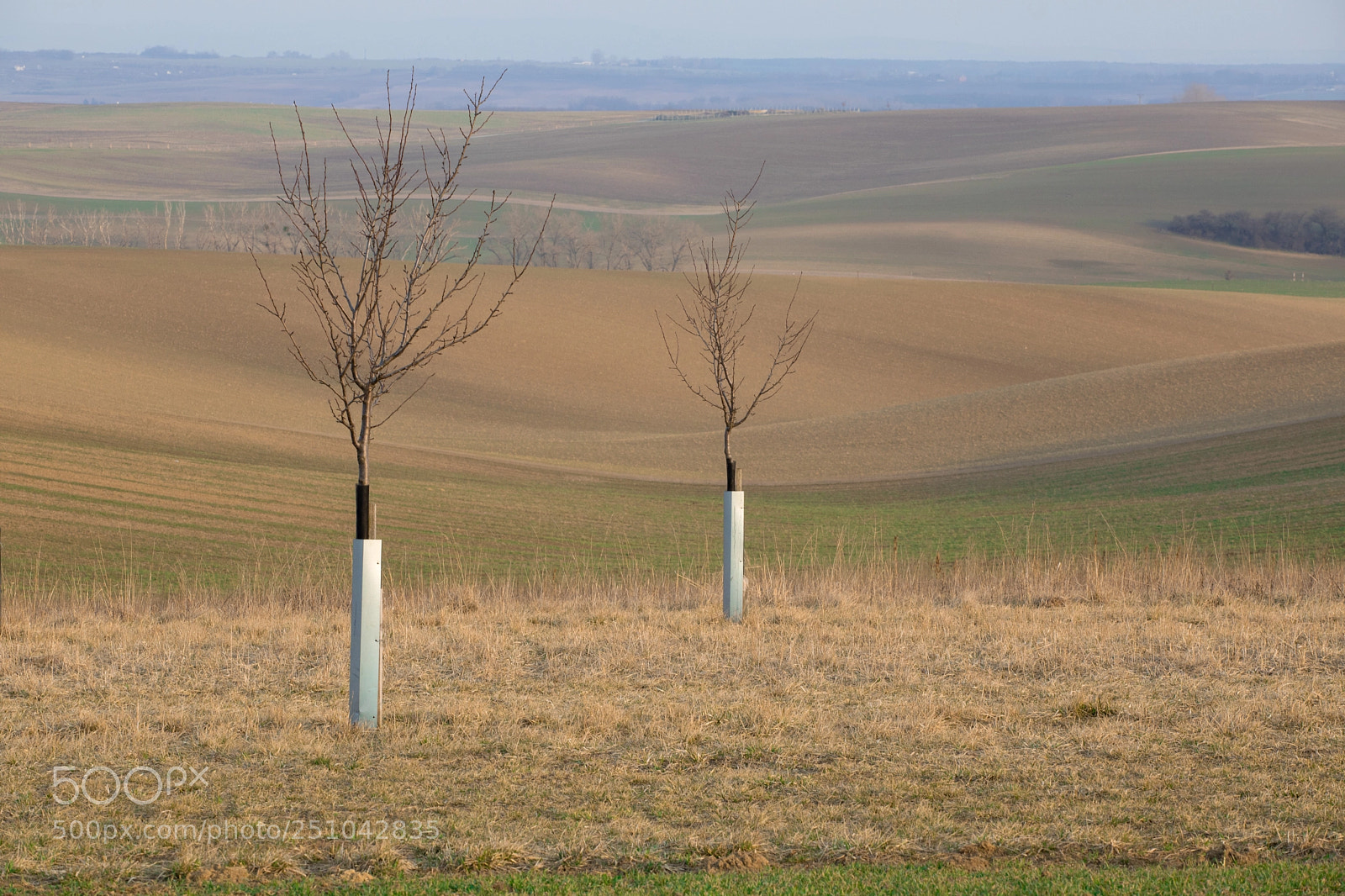 Canon EOS 5D Mark IV sample photo. Simplicity photography