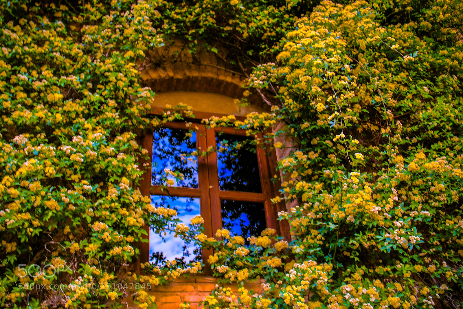 Canon EOS 70D sample photo. Garden window at the photography