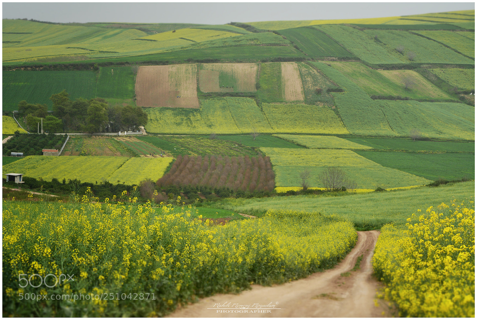 Nikon D5200 sample photo. Life photography