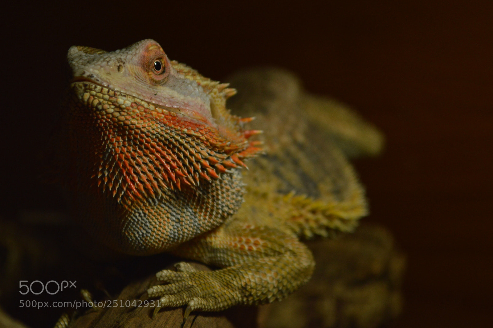 Nikon D3200 sample photo. Csc photography