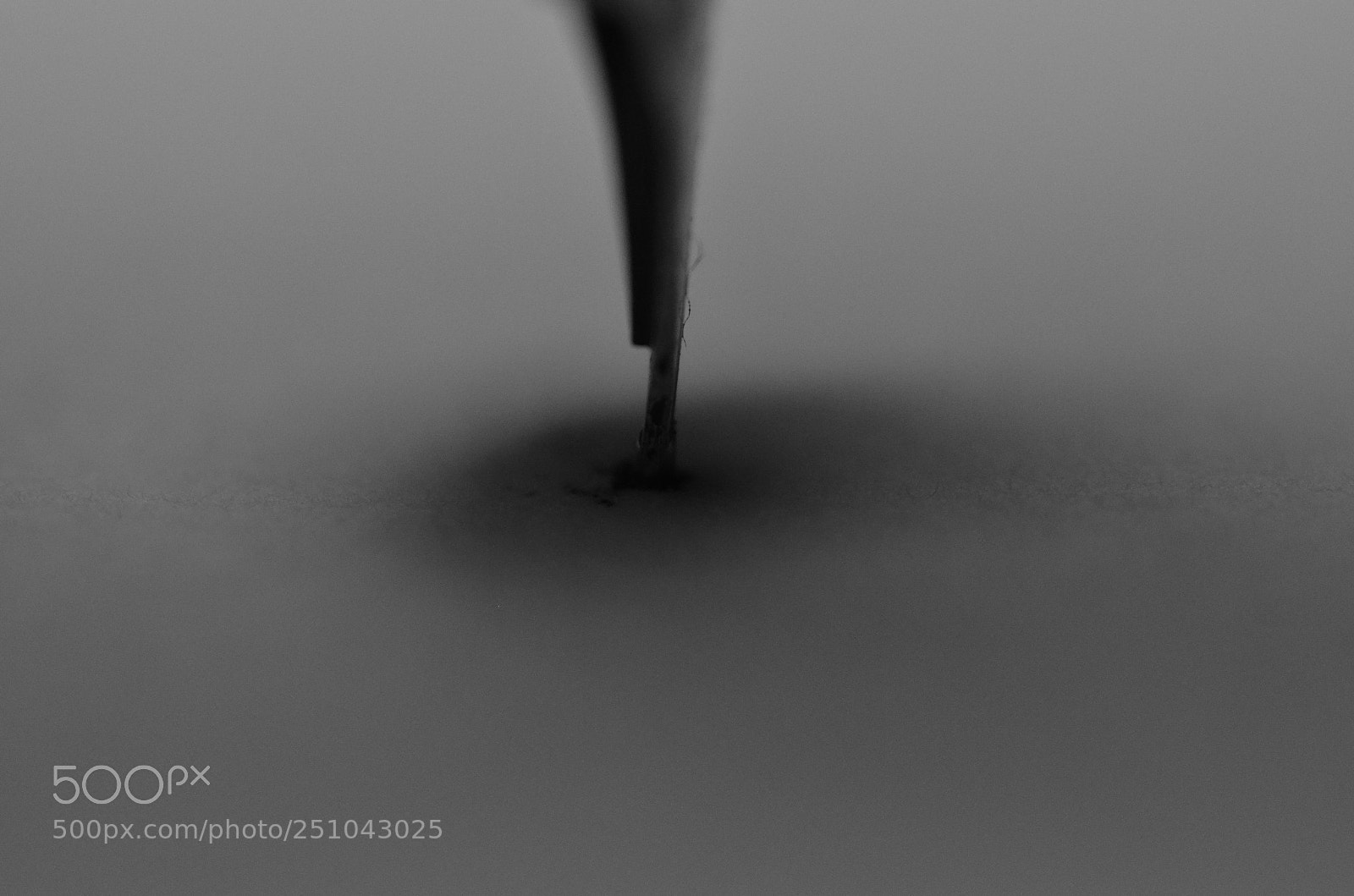 Nikon D7000 sample photo. Pen... photography