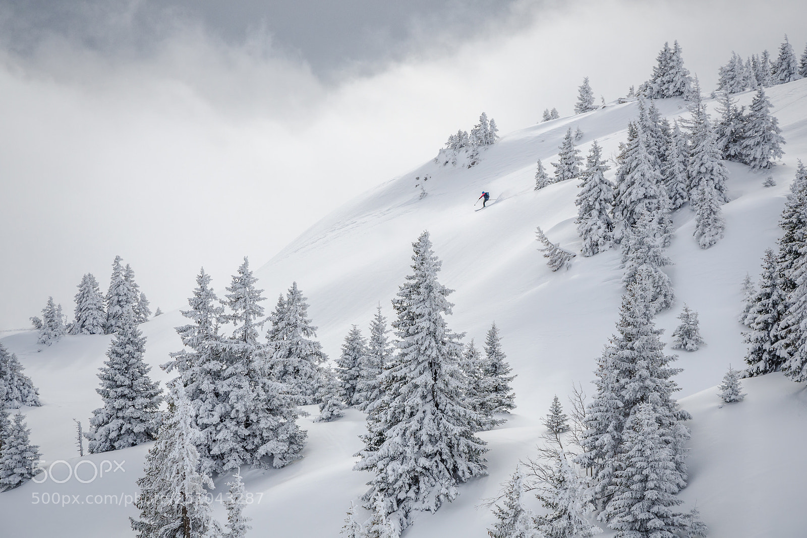 Nikon D7000 sample photo. Freeriding in the jura photography
