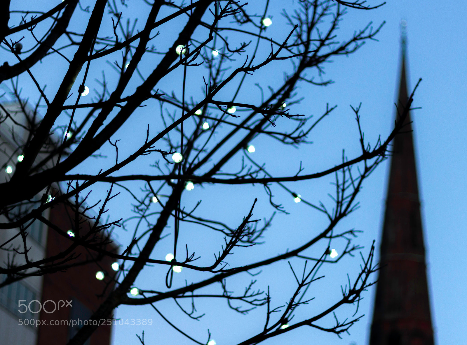 Canon EOS 1200D (EOS Rebel T5 / EOS Kiss X70 / EOS Hi) sample photo. Pre-winter lights photography