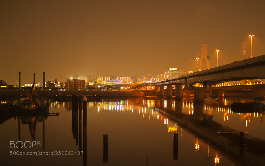 Canon EOS 550D (EOS Rebel T2i / EOS Kiss X4) sample photo. Bridge to kawasaki photography