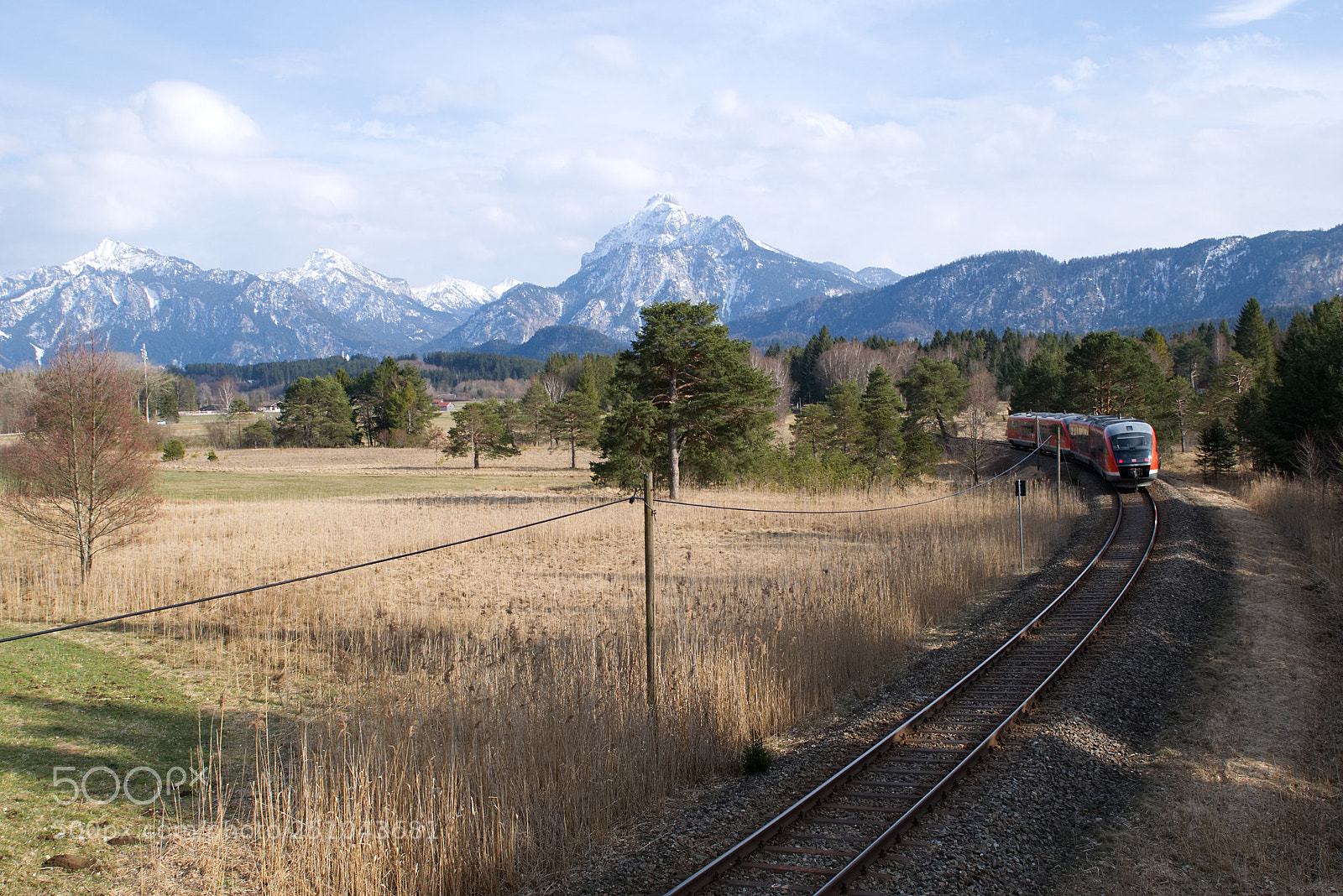 Nikon D5300 sample photo. Heading south photography