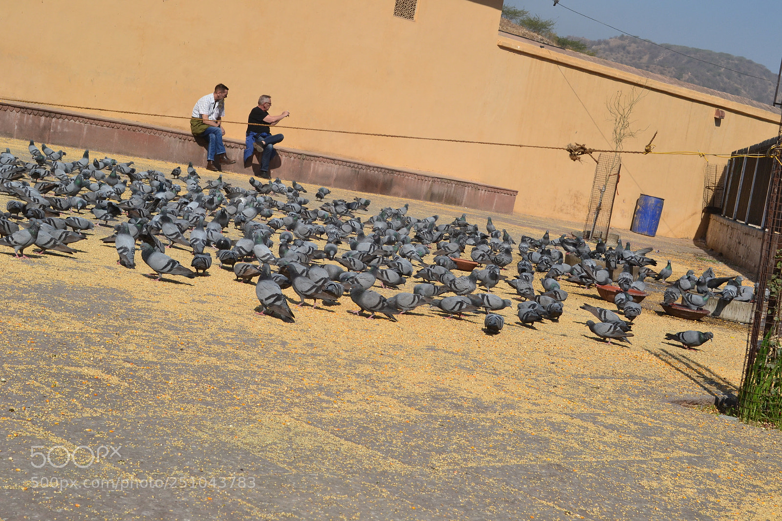 Nikon D3100 sample photo. Outside amber photography