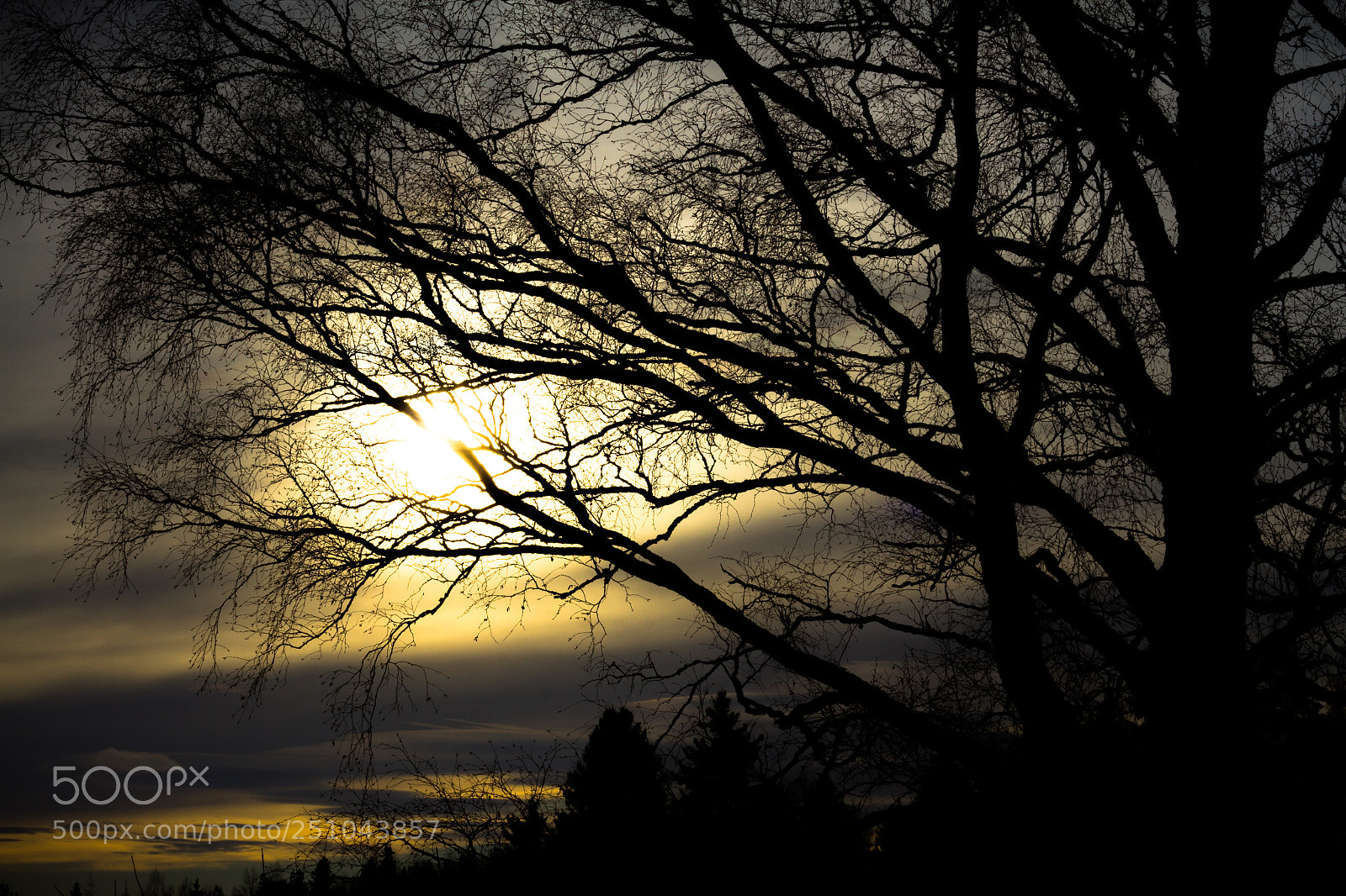 Canon EOS 7D sample photo. Burning yellow photography