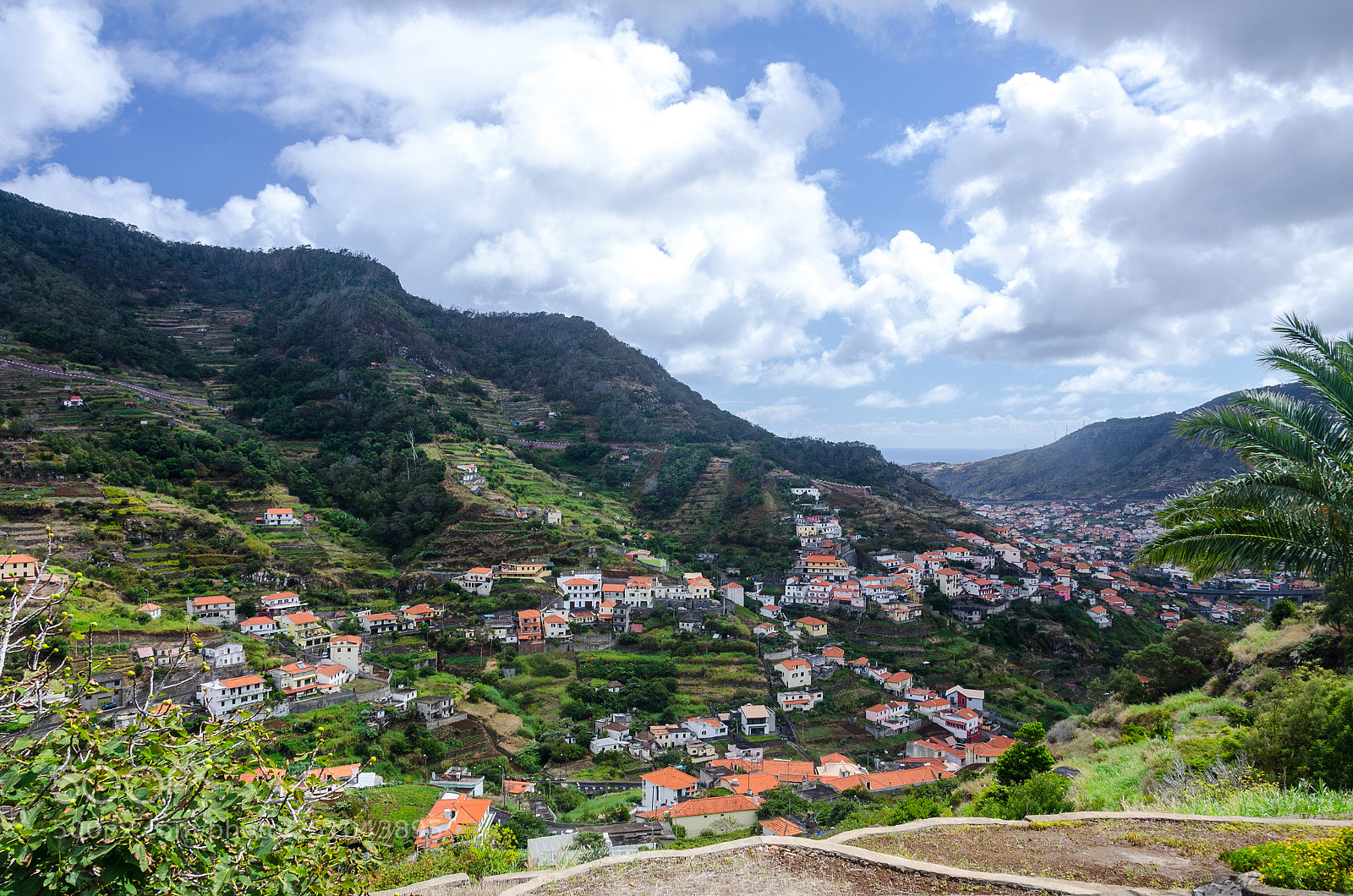 Nikon D7000 sample photo. Levada photography