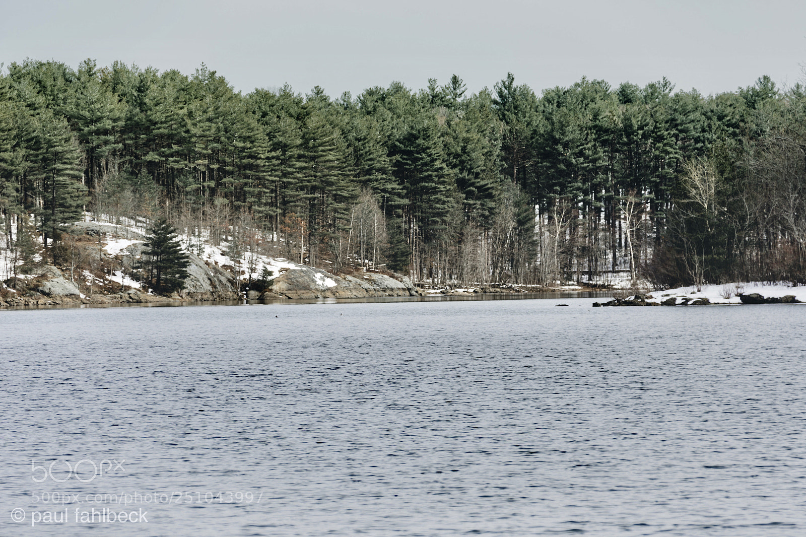 Nikon D7200 sample photo. Untitled photography