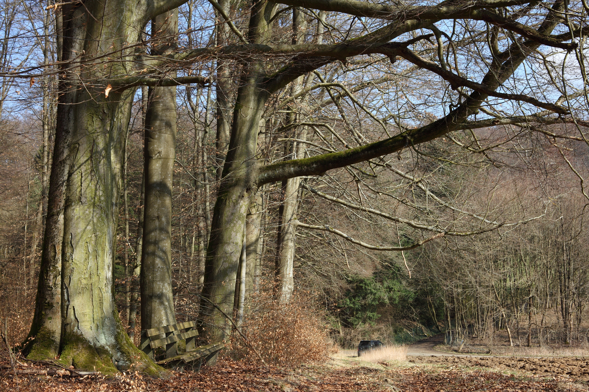 Canon EF 28-80mm f/3.5-5.6 sample photo. The black car photography
