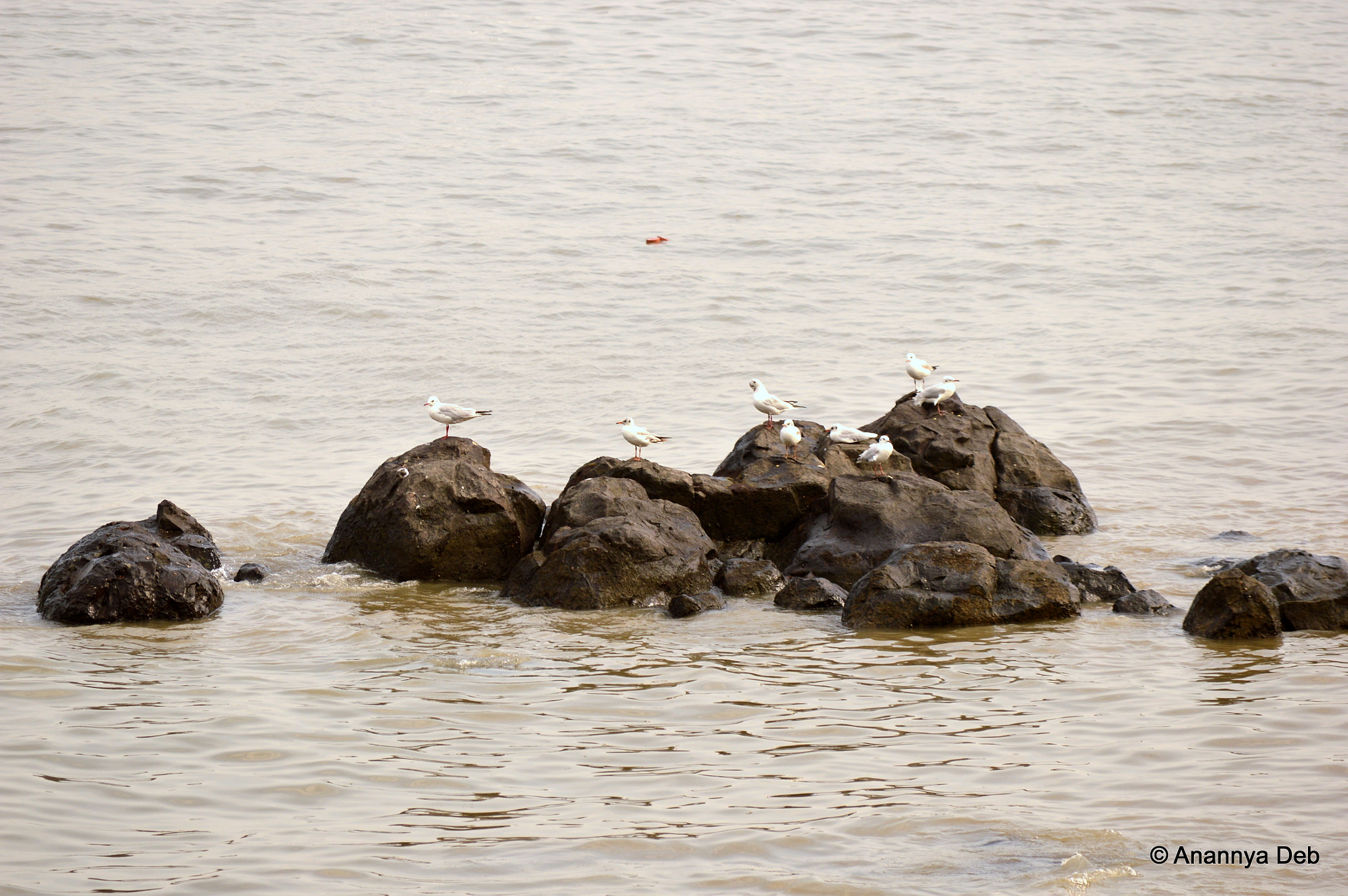 Nikon D3200 sample photo. Mumbai, february 2016 photography