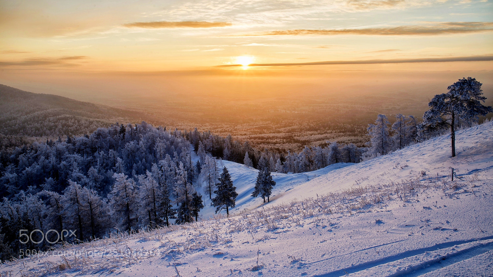 Nikon D800 sample photo. Winter sunset in the photography