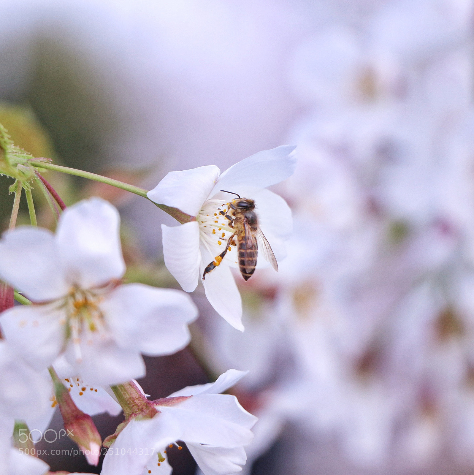 Canon EOS 700D (EOS Rebel T5i / EOS Kiss X7i) sample photo. Untitled photography
