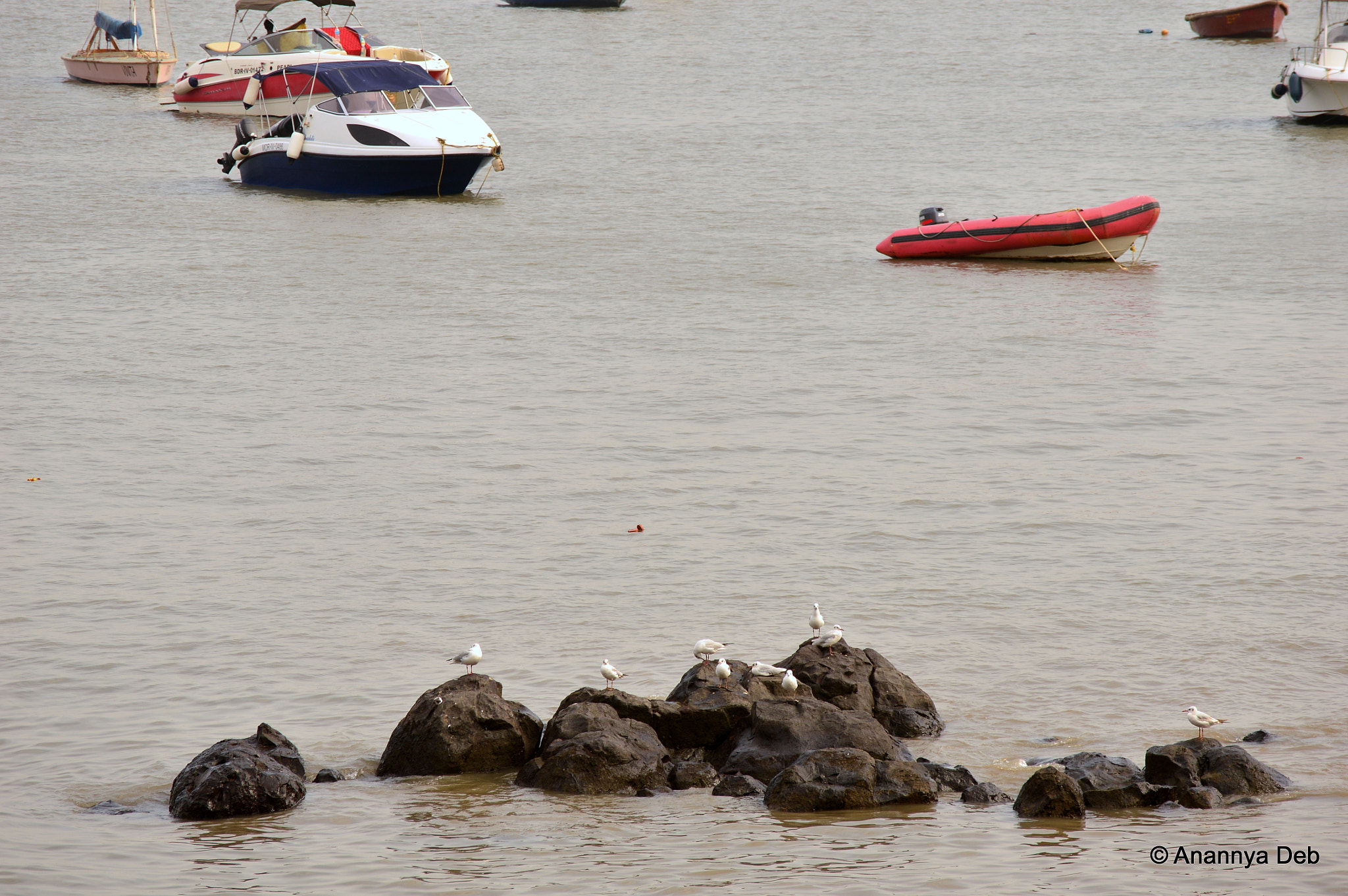 Nikon D3200 sample photo. Mumbai, february 2016 photography