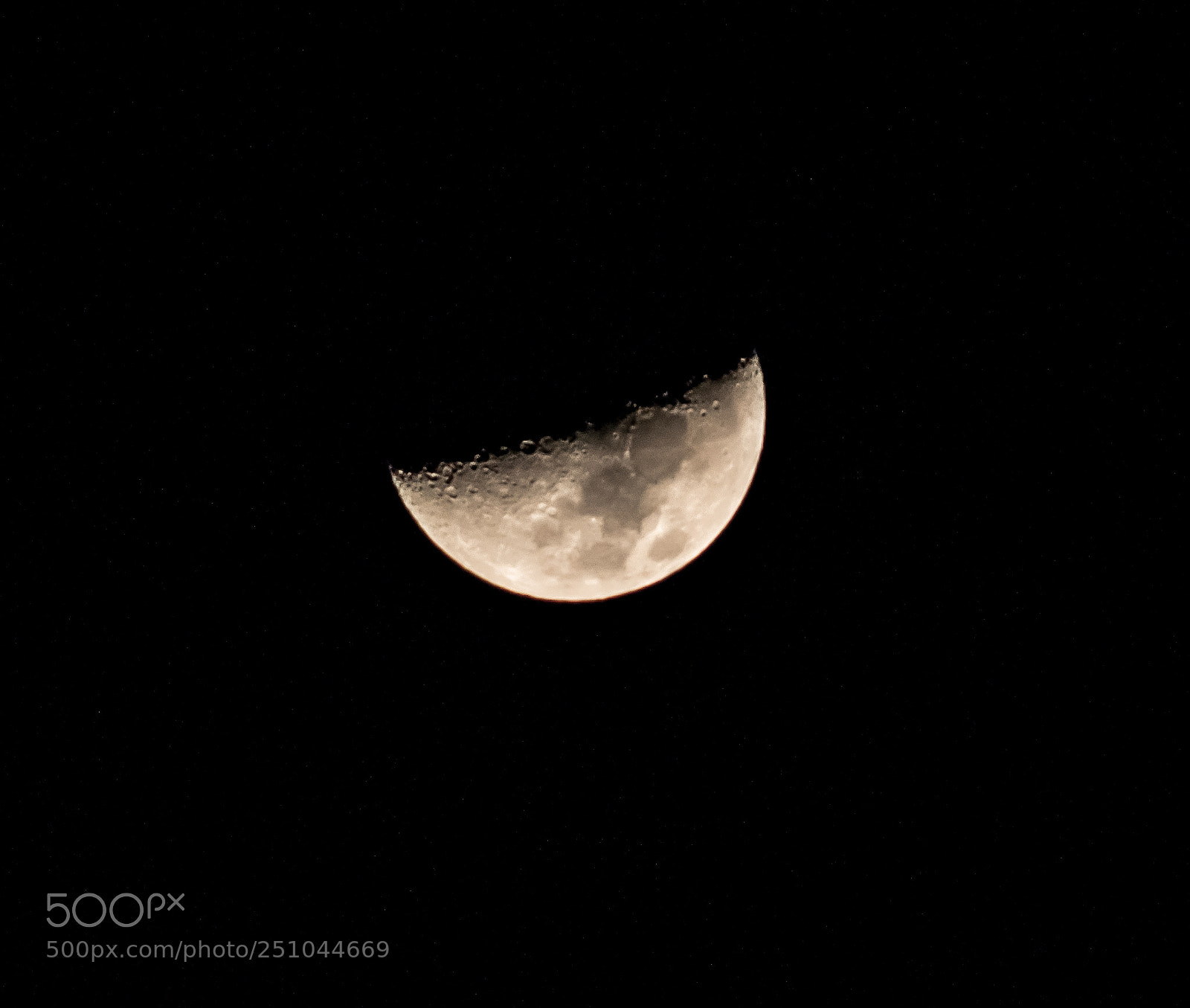 Nikon D5500 sample photo. Untitled photography