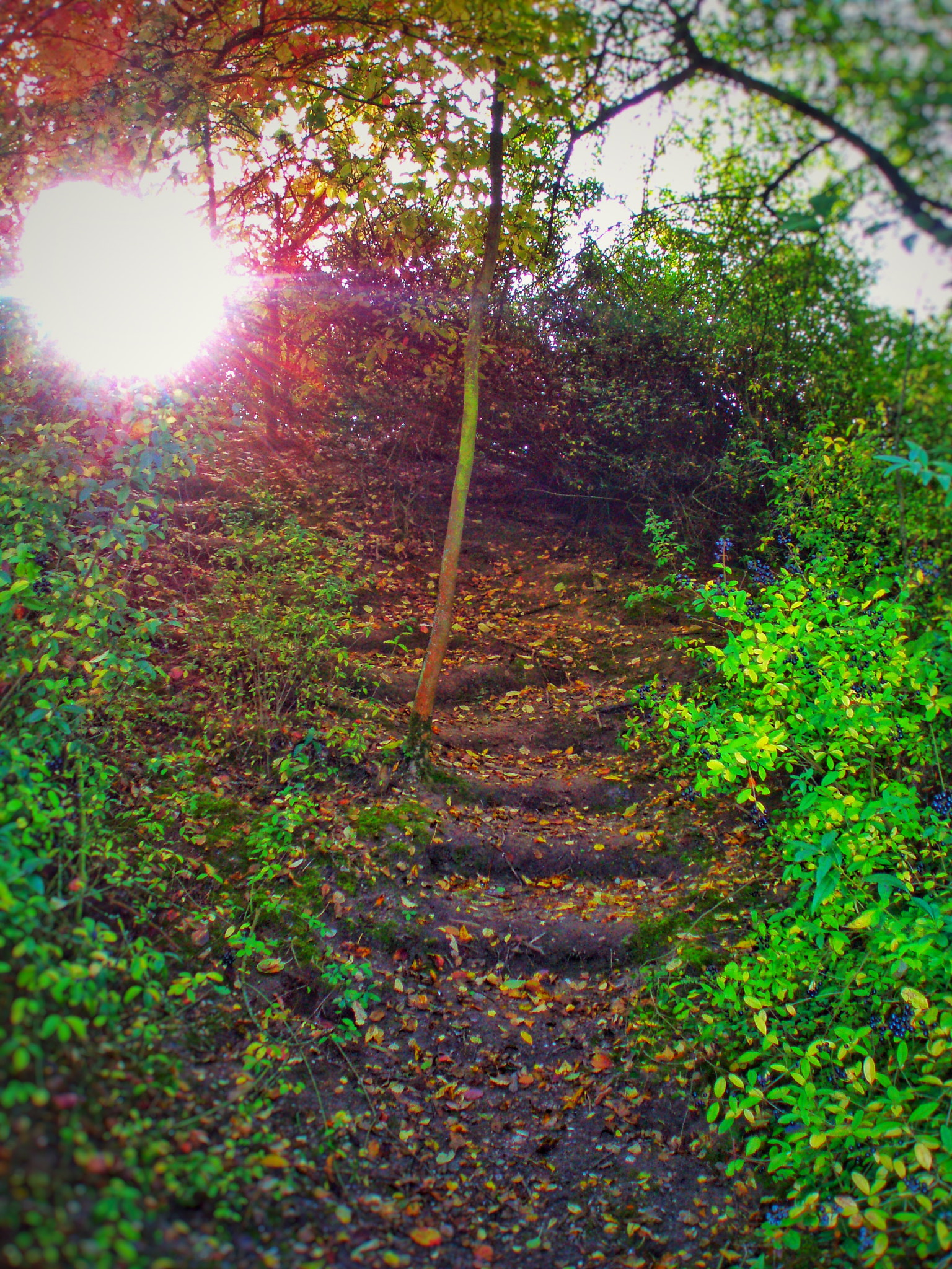Olympus u700,S700 sample photo. Die treppe photography