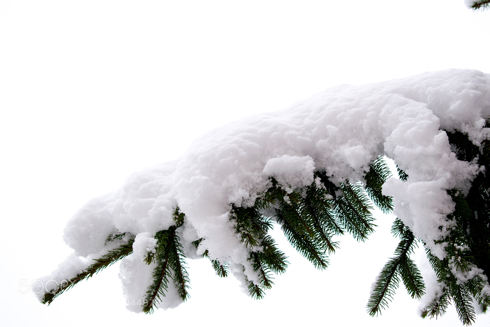 Nikon D5300 sample photo. Cloud of snow photography