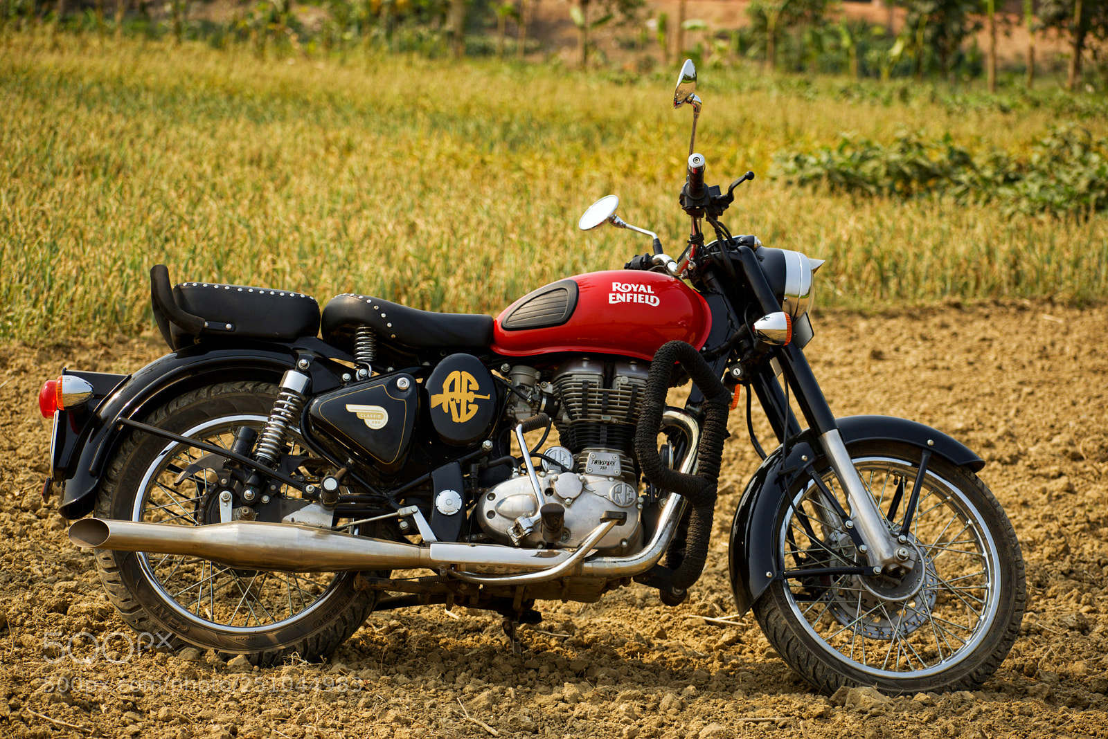 Nikon D5600 sample photo. Royal enfield bullet photography