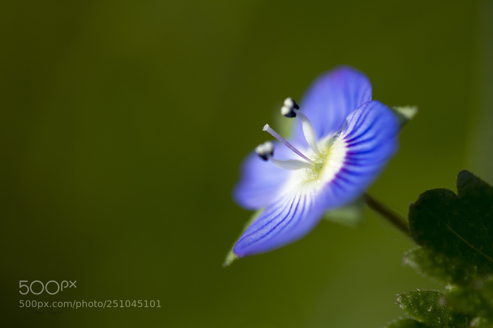 Canon EOS 7D sample photo. Untitled photography