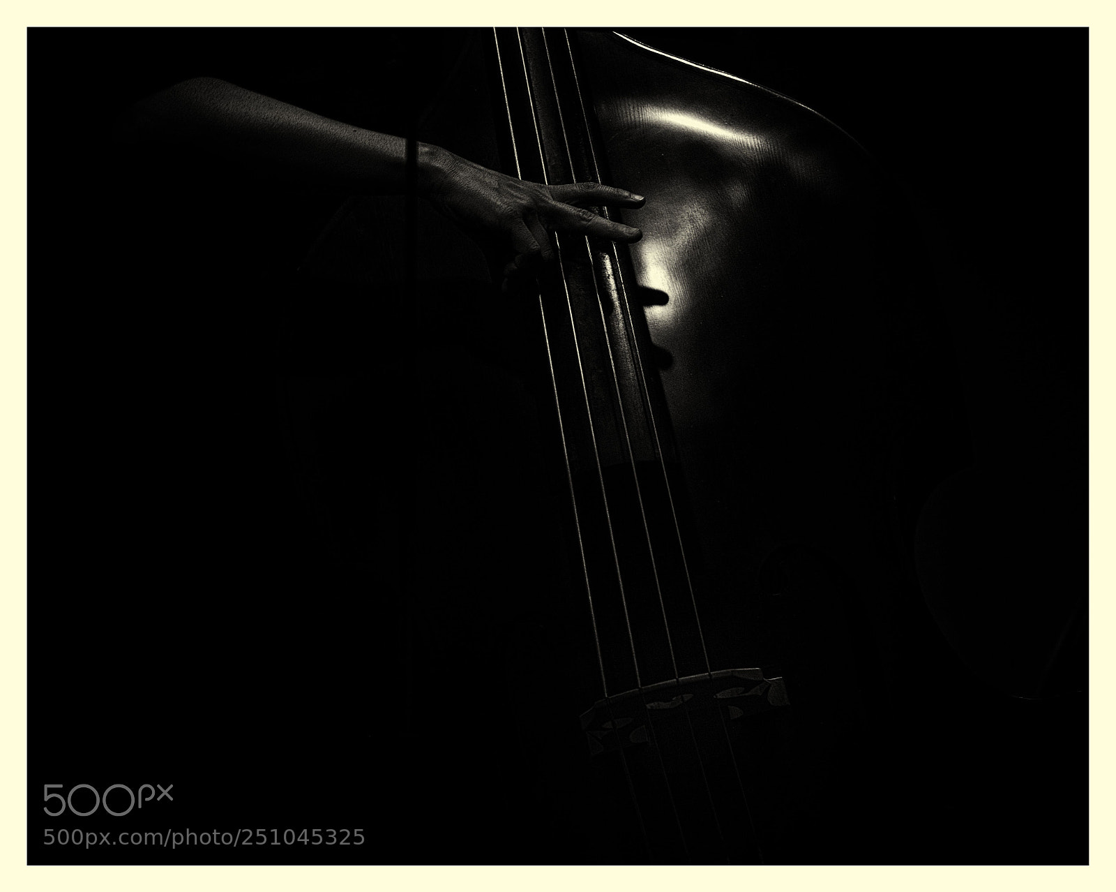 Nikon D3200 sample photo. Double bass photography
