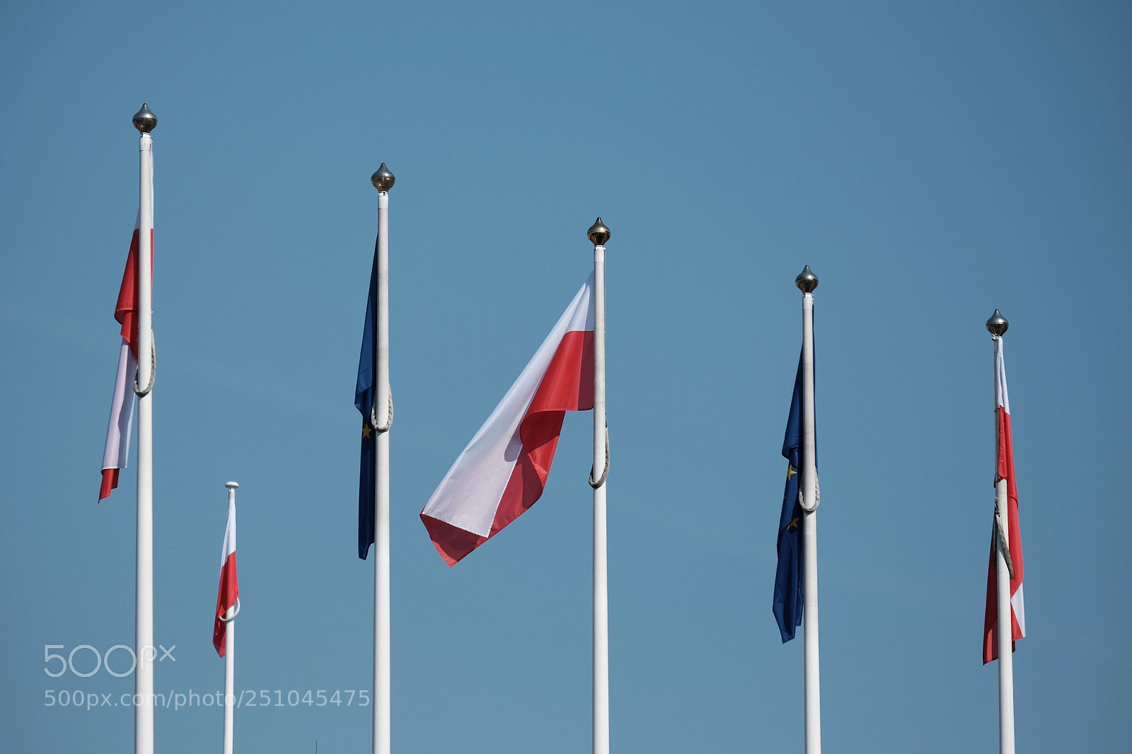 Fujifilm X-T10 sample photo. Fussy wind photography