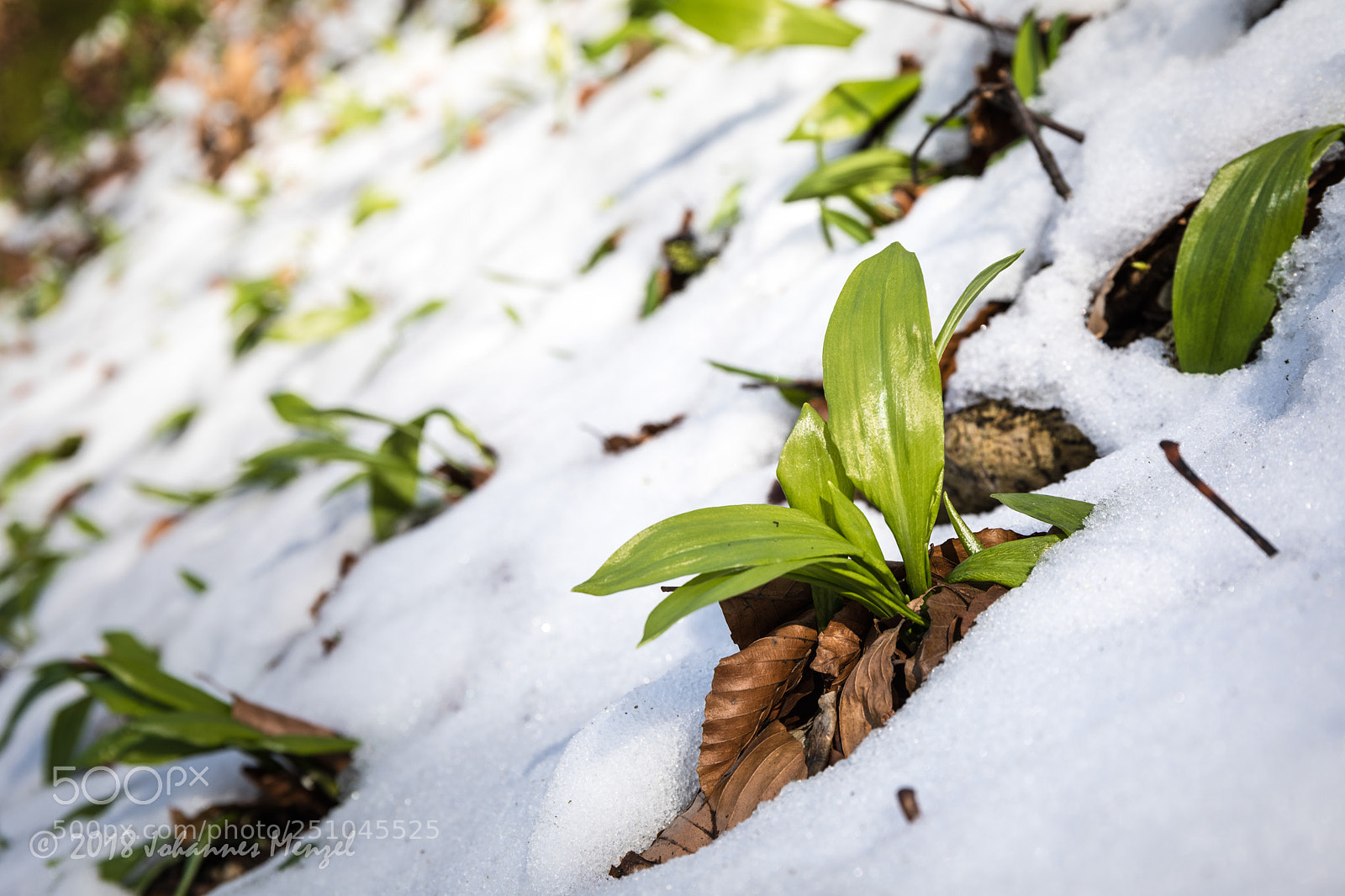 Canon EOS 5D Mark IV sample photo. Three seasons photography