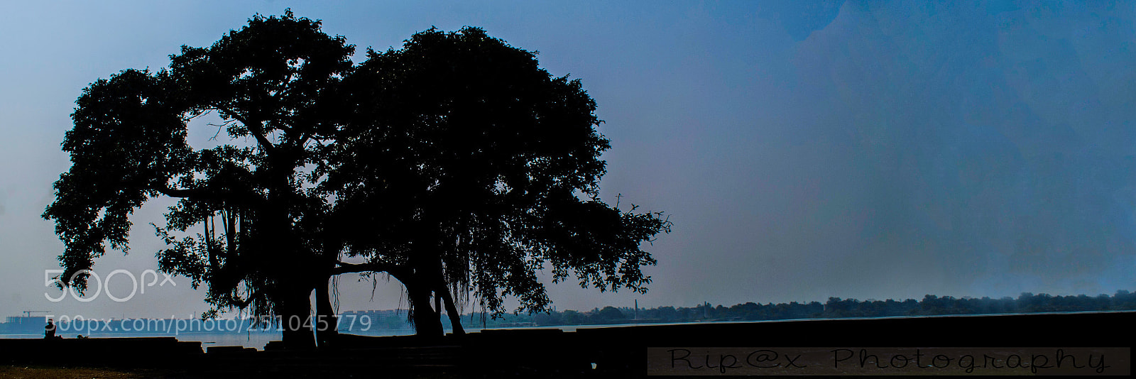 Nikon D5100 sample photo. We are friends photography