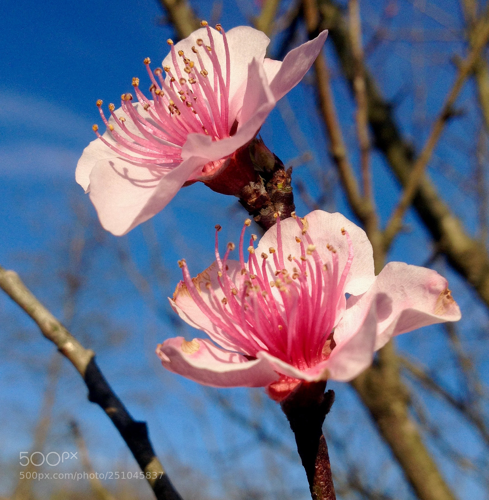 Apple iPhone 4S sample photo. 2 photography