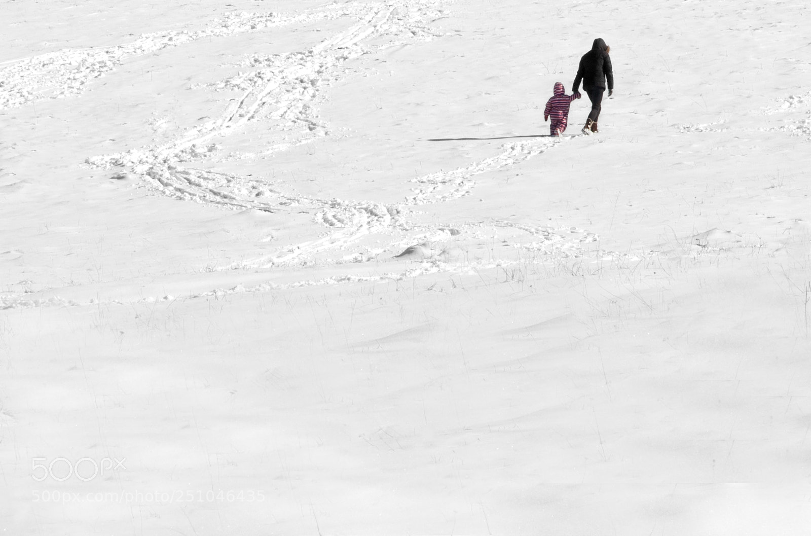 Nikon D90 sample photo. White. endless photography