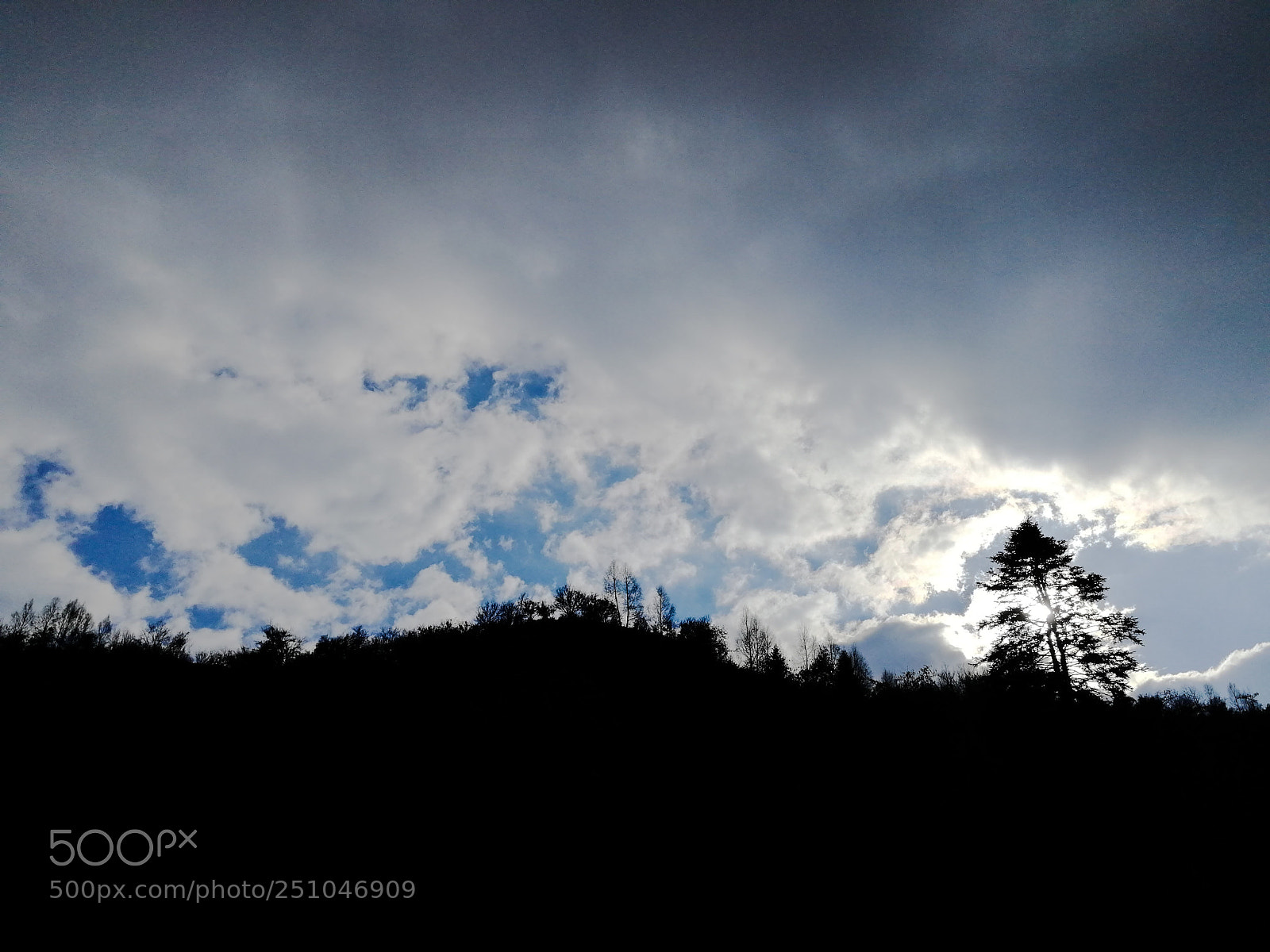 HUAWEI Honor 9 sample photo. Sun behind the tree photography