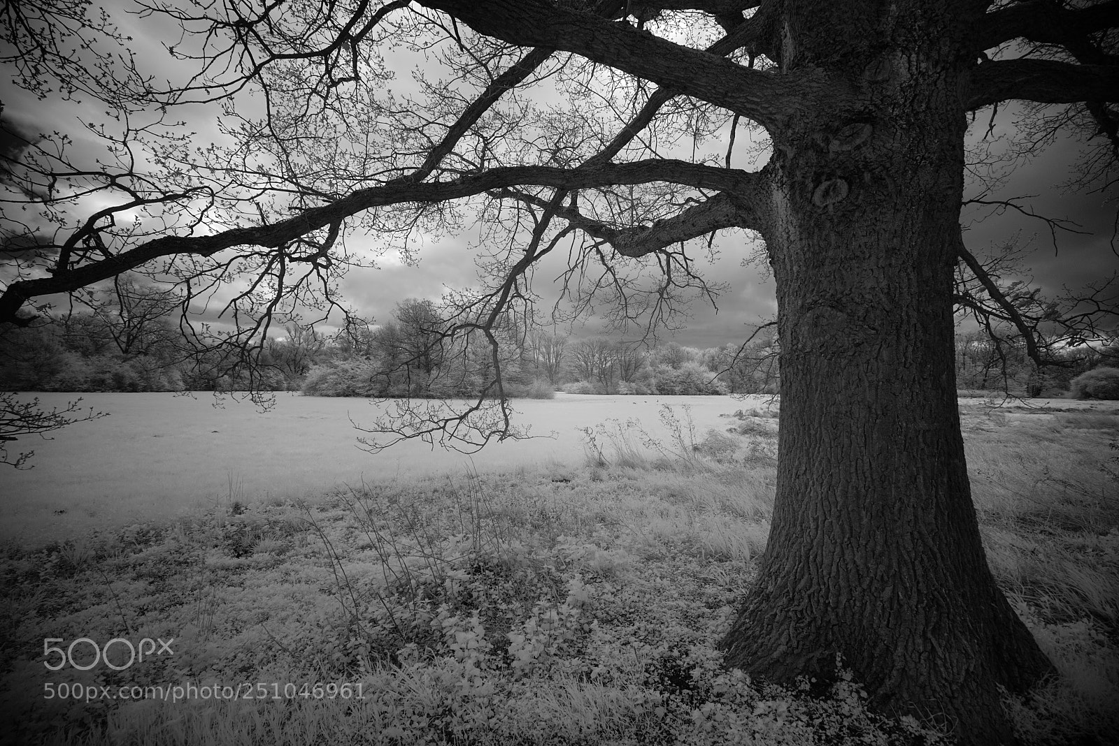Sony a7R sample photo. Dsc photography