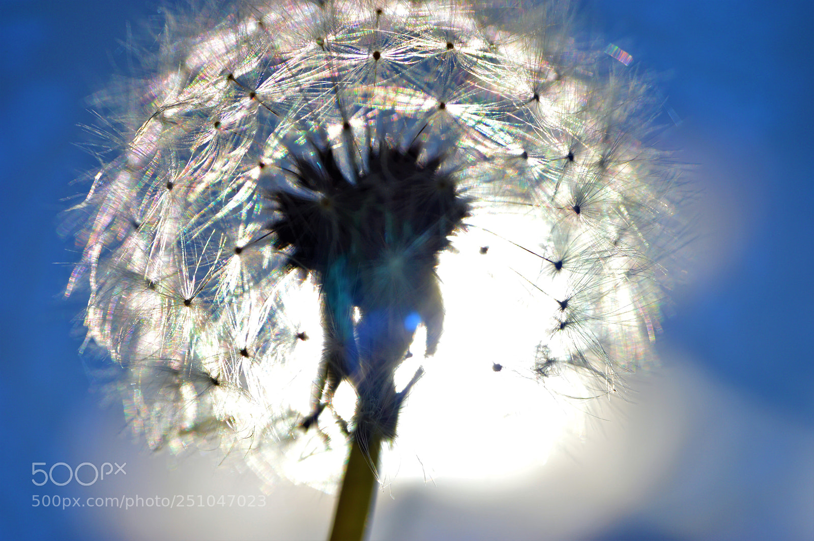 Nikon D3200 sample photo. Sun photography