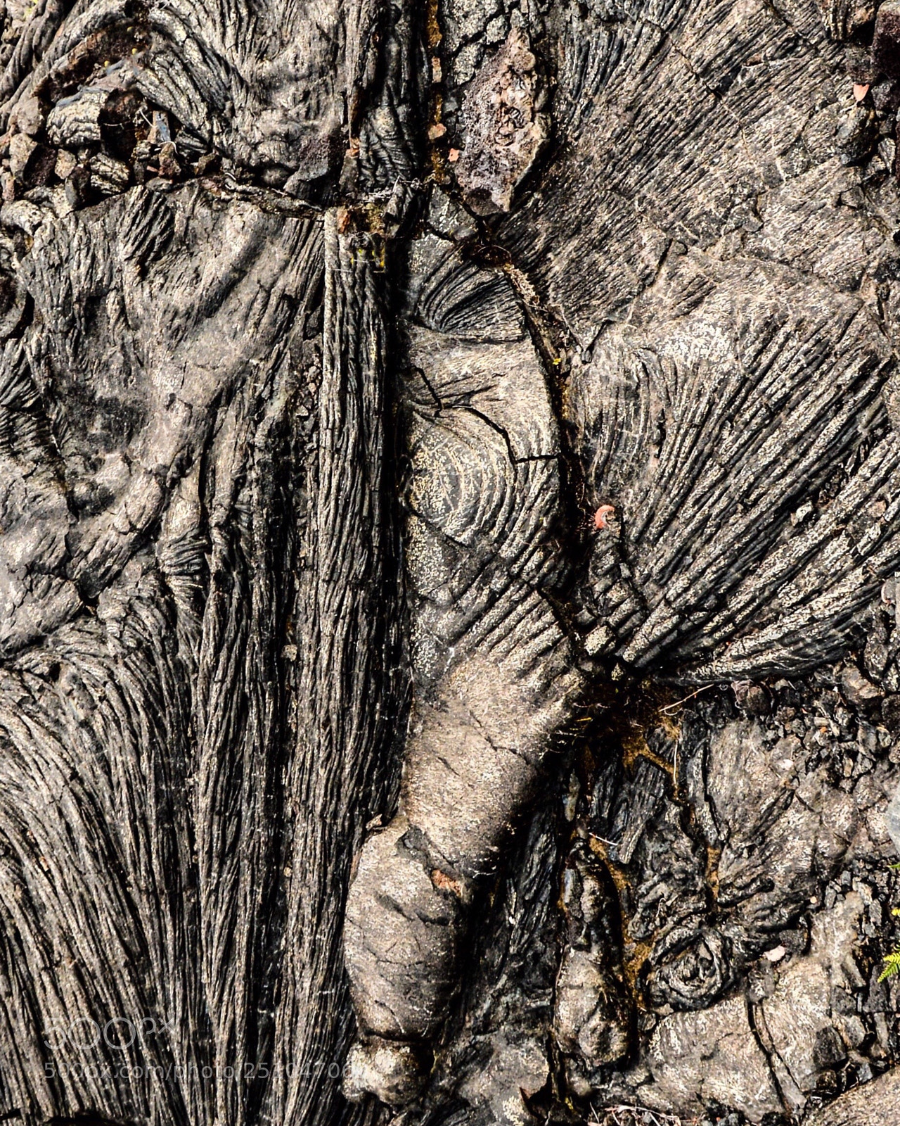Nikon D7100 sample photo. Natural design photography