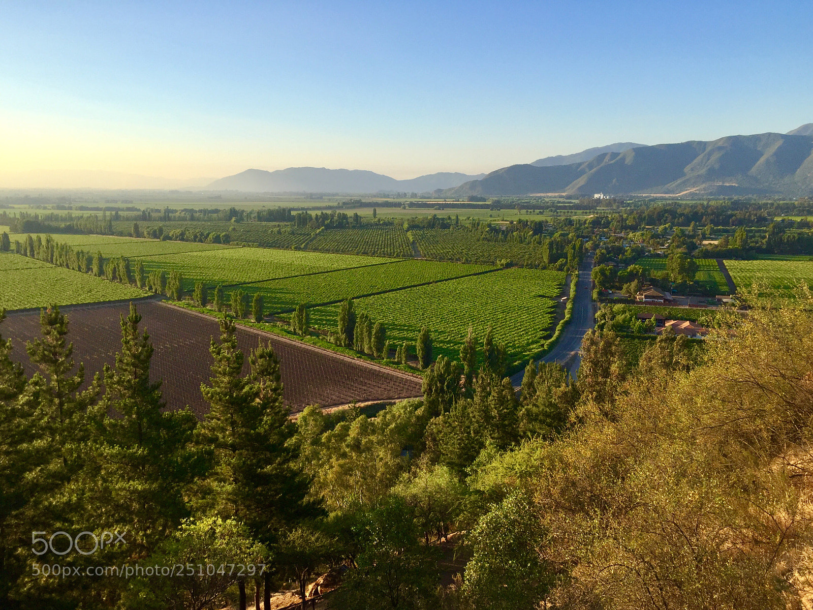 Apple iPhone 6 sample photo. Valle de colchagua. photography