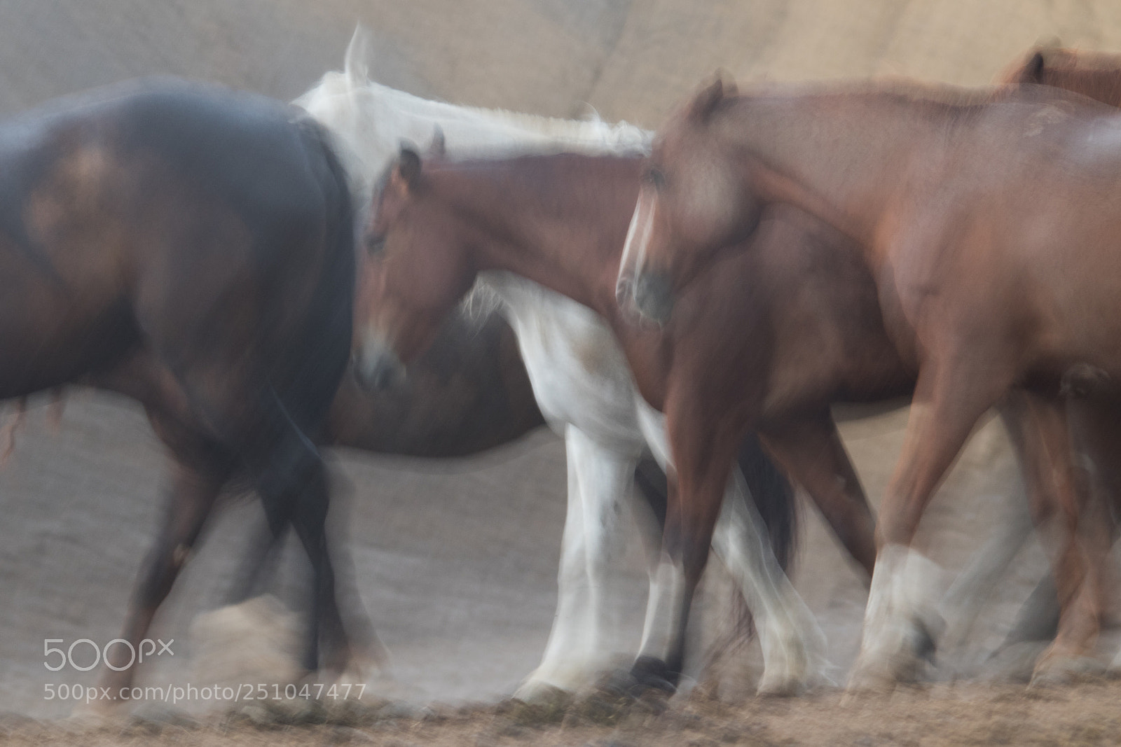 Canon EOS 7D Mark II sample photo. Watercolour horses photography