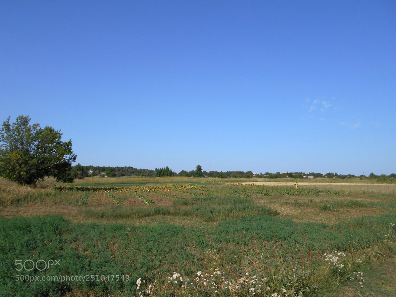 Nikon Coolpix A100 sample photo. Eafcorig photography