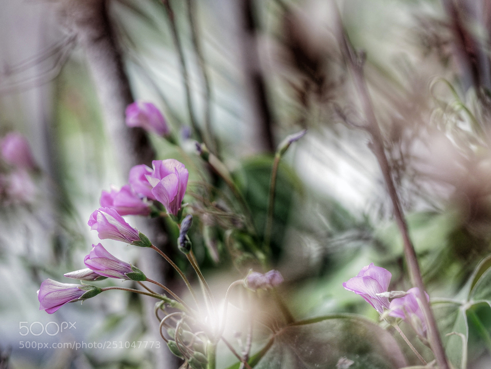 Panasonic Lumix DMC-GX85 (Lumix DMC-GX80 / Lumix DMC-GX7 Mark II) sample photo. ?????... photography