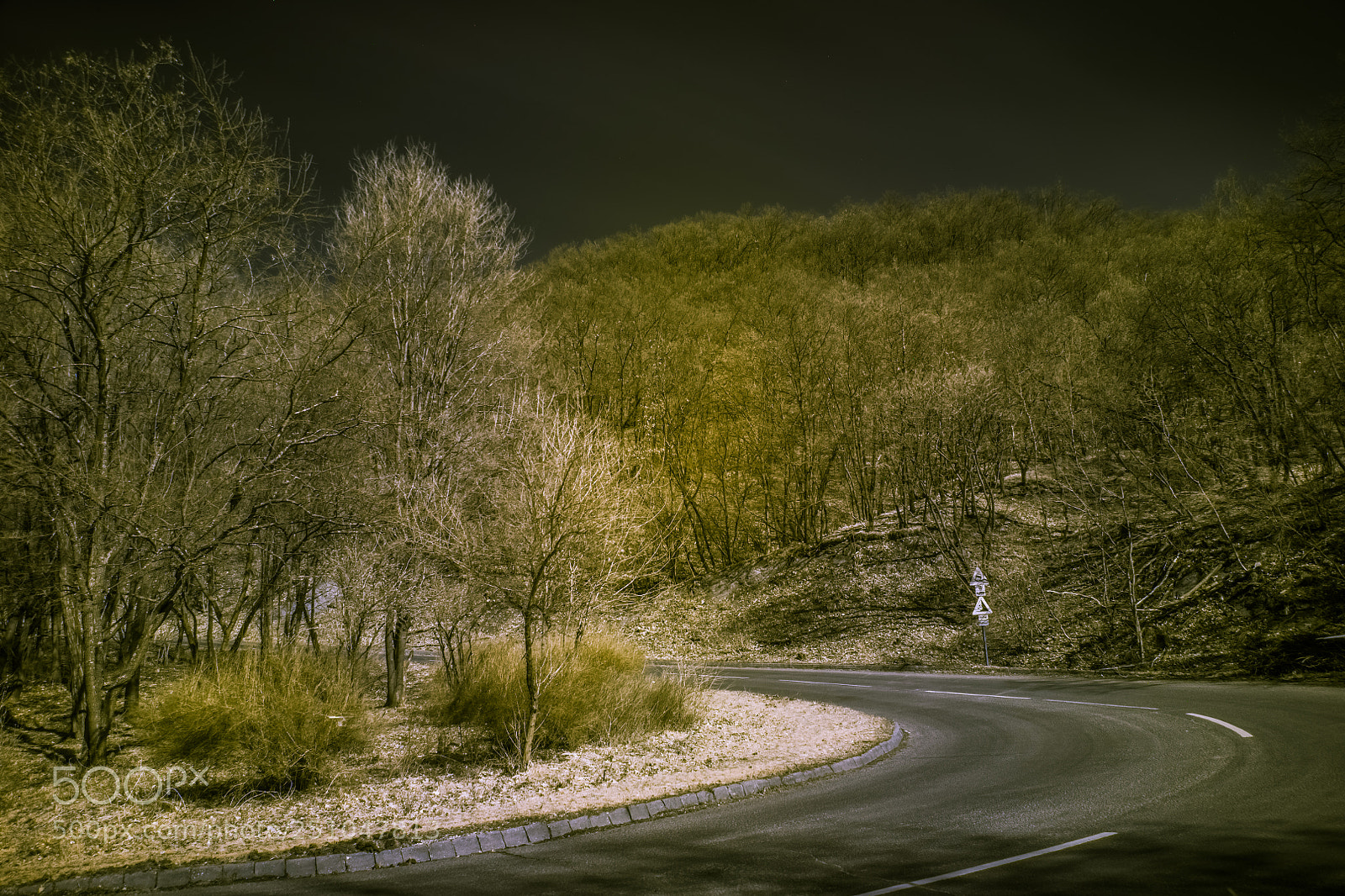 Nikon D850 sample photo. The turn photography