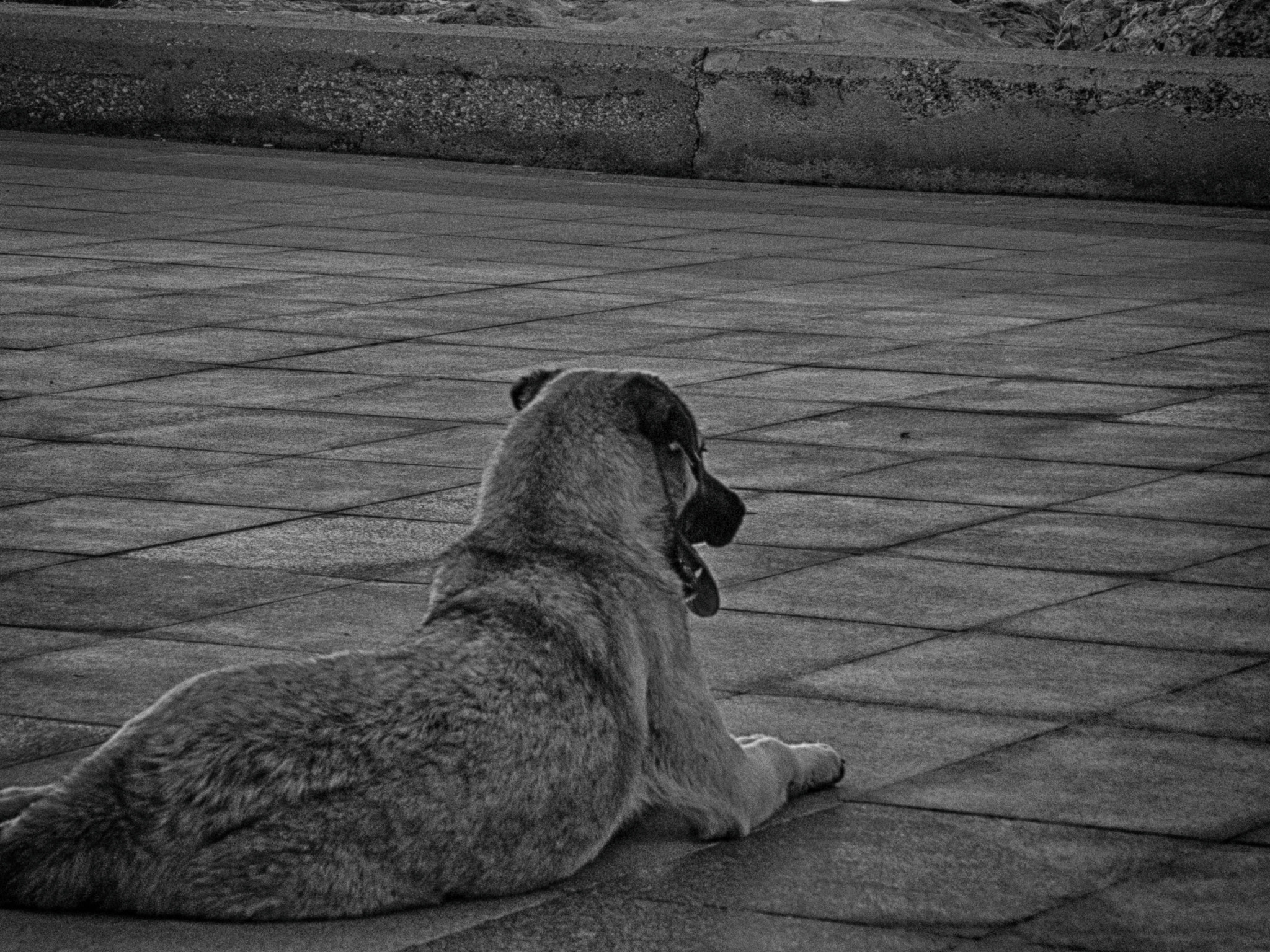 Nikon COOLPIX L310 sample photo. Bandırma sahil manzaraları photography