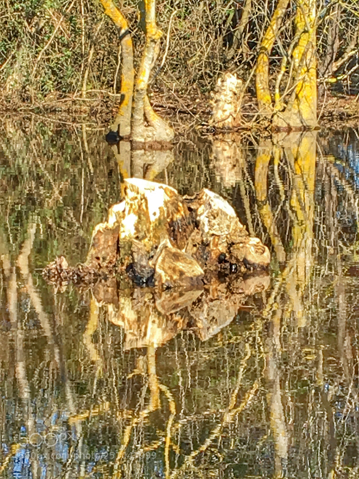 Apple iPhone 6s sample photo. Untitled photography