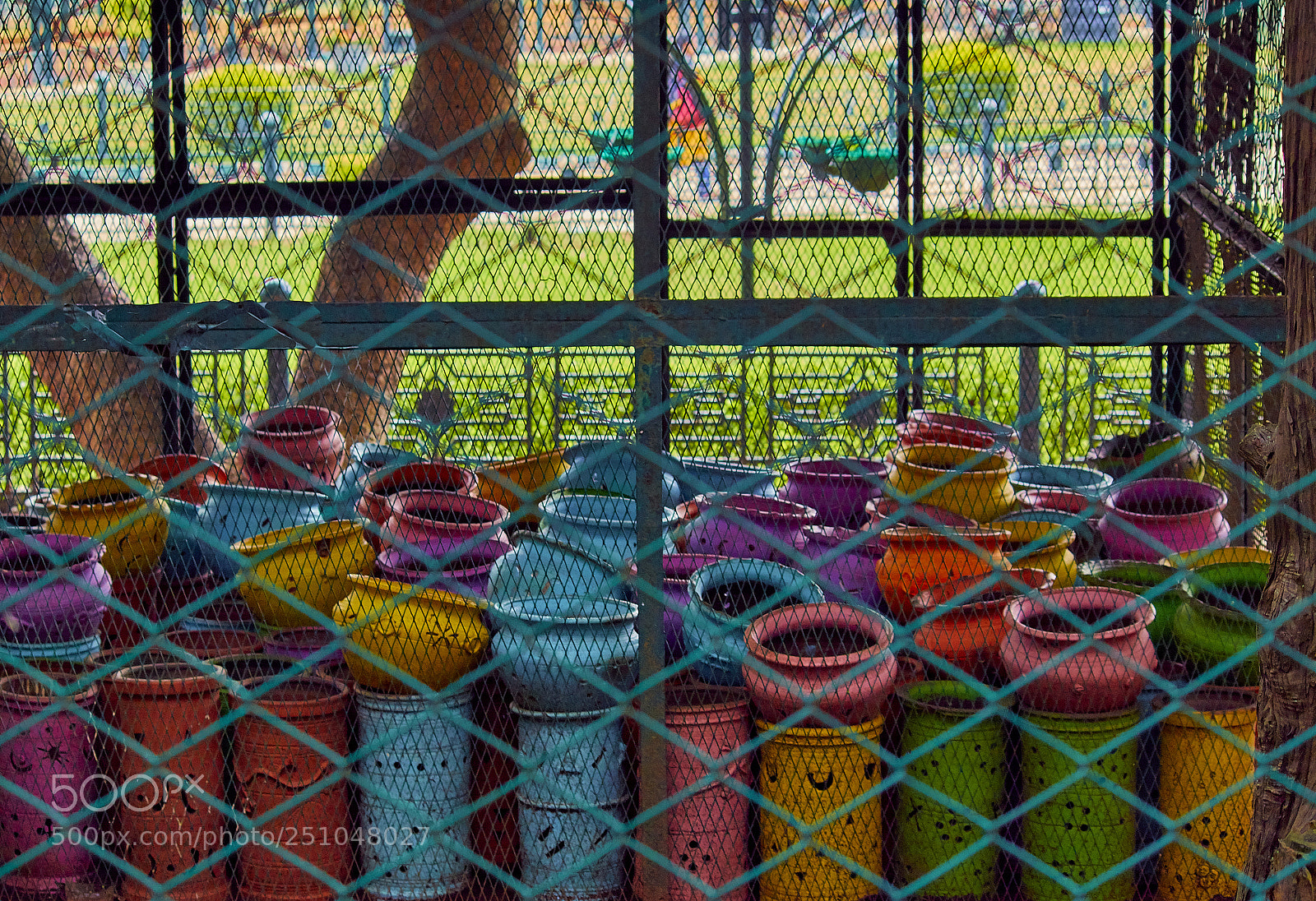 Canon EOS 70D sample photo. Colors of life photography