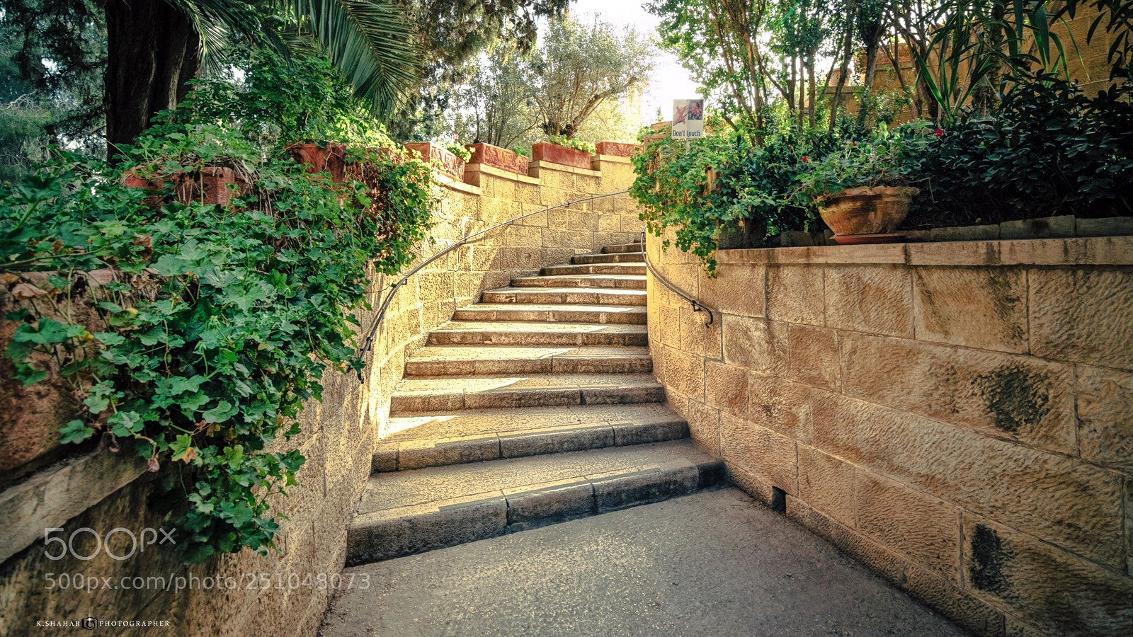 Canon EOS 7D Mark II sample photo. Church of the visitation photography