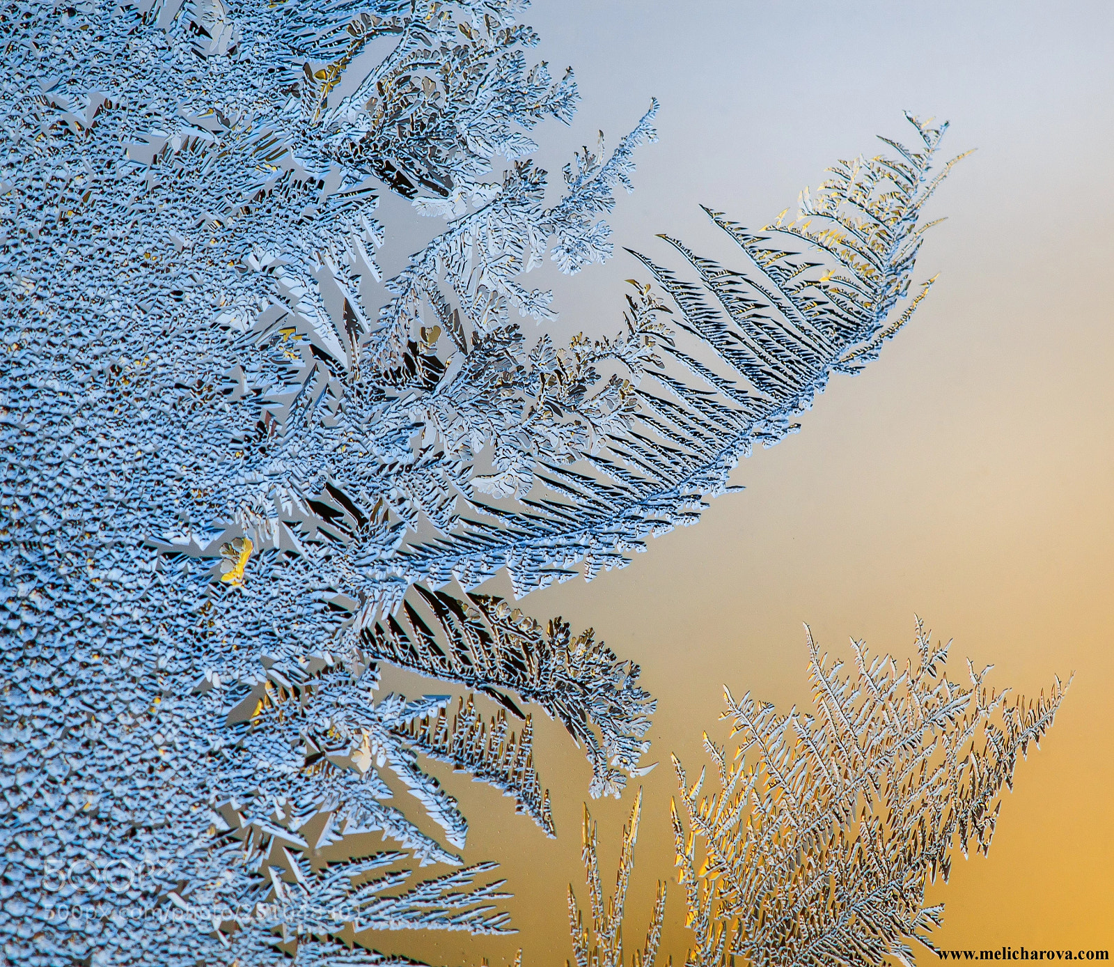 Canon EOS 60D sample photo. Ice painting 1 photography