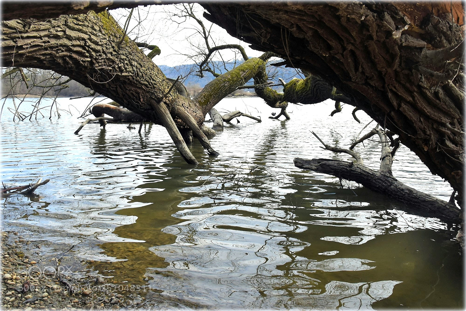 Nikon D810 sample photo. A place,fore a long photography
