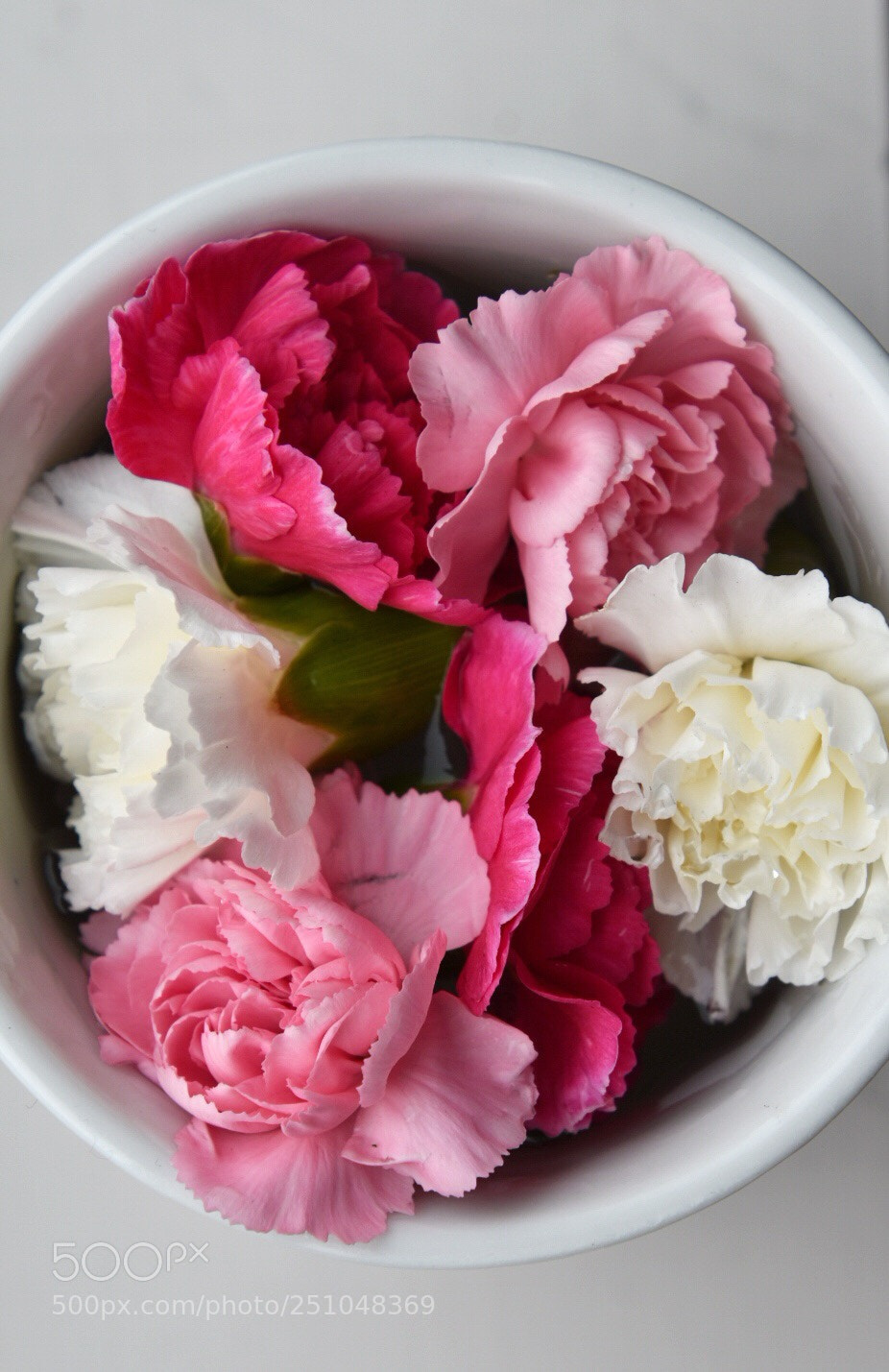 Nikon D5600 sample photo. Flowers in cup photography